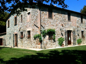 Tenuta Vitalonga Ficulle